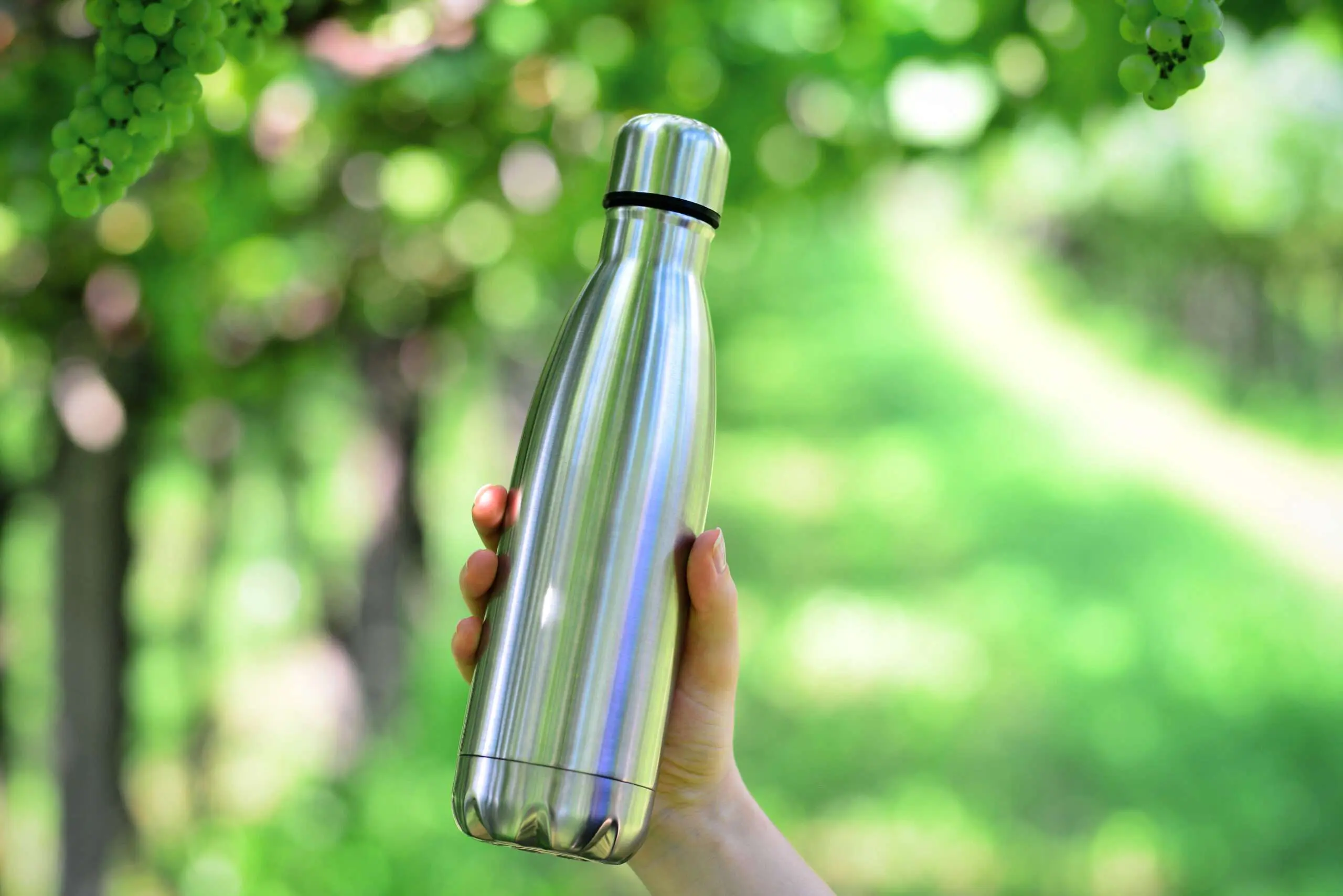 Consciência ecológica